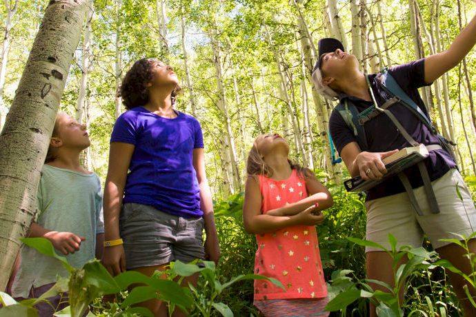 A group of kids and a forest ranger explore a lush wooded area, looking up at tall trees and listening together.