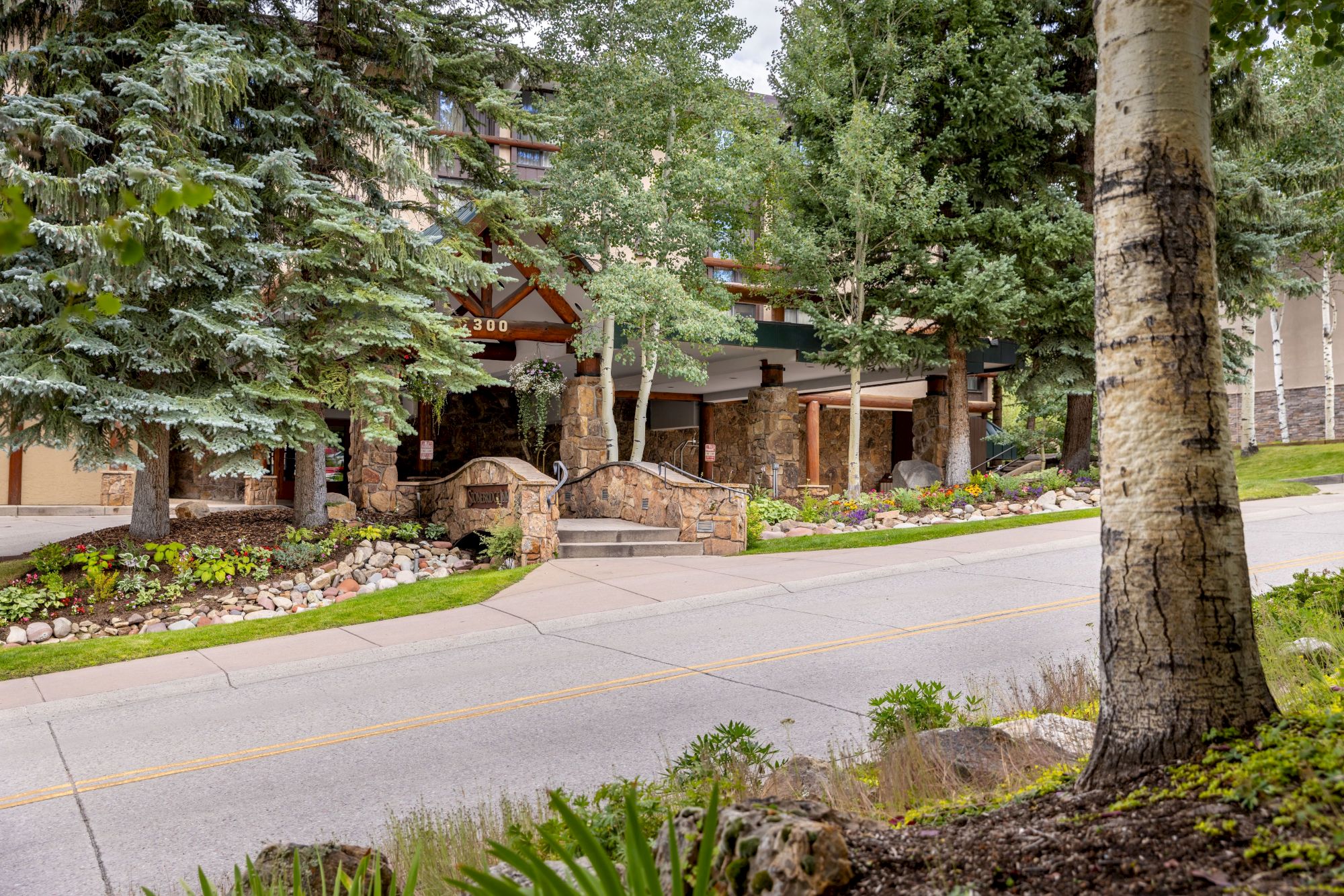 A landscaped campus courtyard with tall evergreens, birch trees, and a stone-and-wood building entrance with stairs and walkways.
