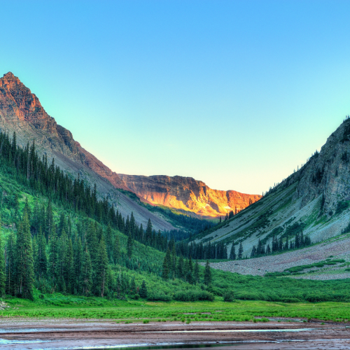 A scenic mountain valley with dense pine forest, grassy slopes, and rugged peaks glowing at sunrise, under a clear blue sky.