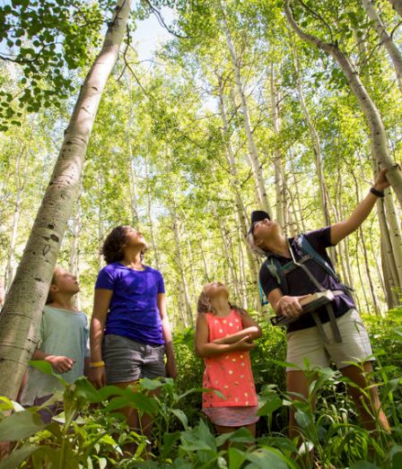 A family hikes in a lush bamboo forest, kids and adults looking up as one points a backpack toward the trees.