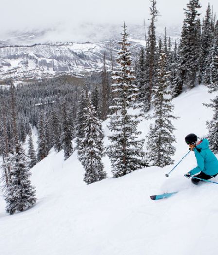 A snowboarder carves through fresh snow on a mountain slope lined with evergreen trees under cloudy skies.