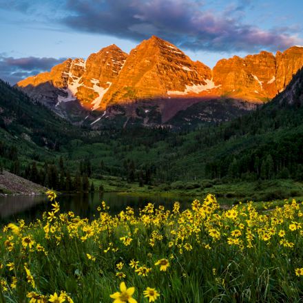 Golden wildflowers bloom in a valley beneath rugged orange mountains as storm clouds gather at sunset.
