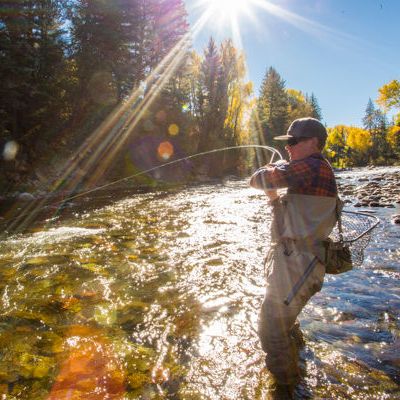 A man fly-fishing in a clear river as golden sun rays shine through tall trees.