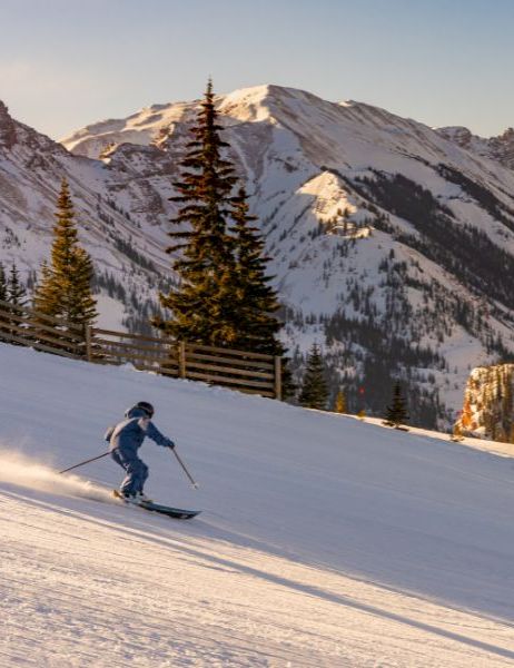 A skier glides down a snowy mountain slope with pine trees and a sunlit peak in the background.